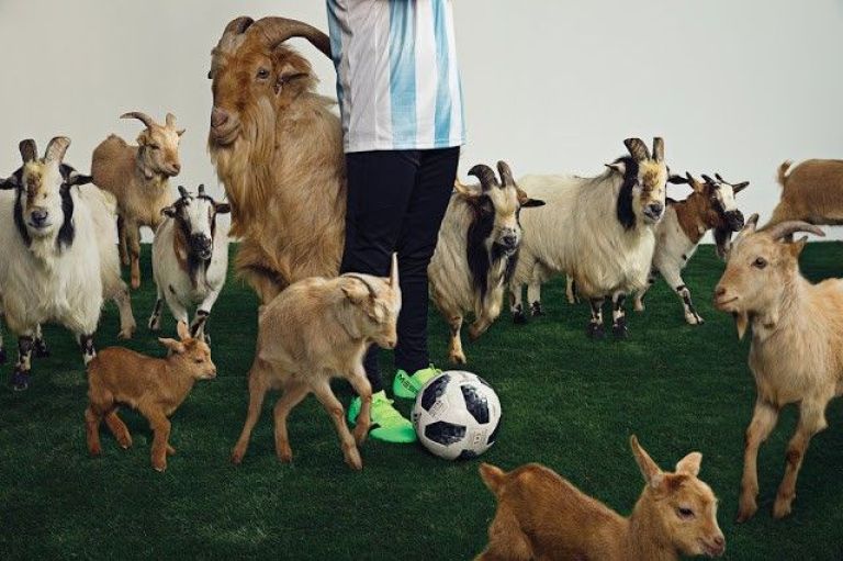 ¡Messi posó rodeado de cabras!