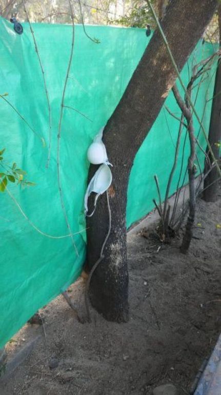 Maestras denuncian que prostitutas utilizan el jardín como albergue transitorio