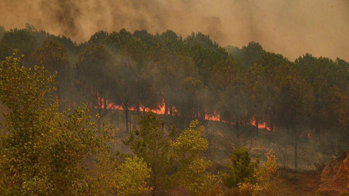 Los incendios en Turquía ya dejaron al menos seis muertos