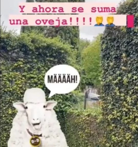 Jorge Rial estalló contra un vecino: "Tiene gallinas y gallos en el jardín"