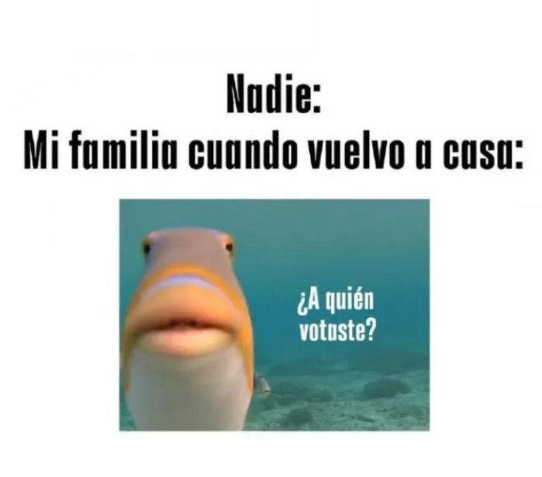 PASO 2021: los mejores memes sobre las elecciones