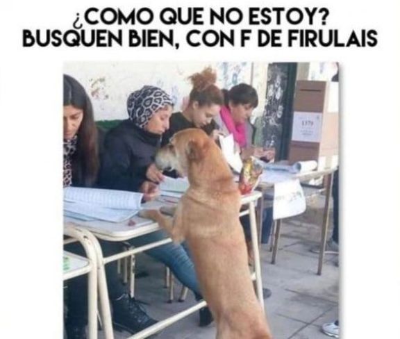PASO 2021: los mejores memes sobre las elecciones