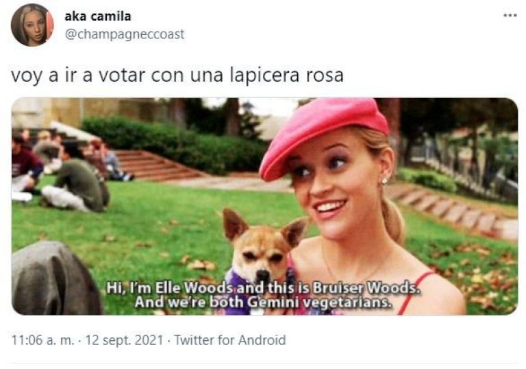PASO 2021: los mejores memes sobre las elecciones