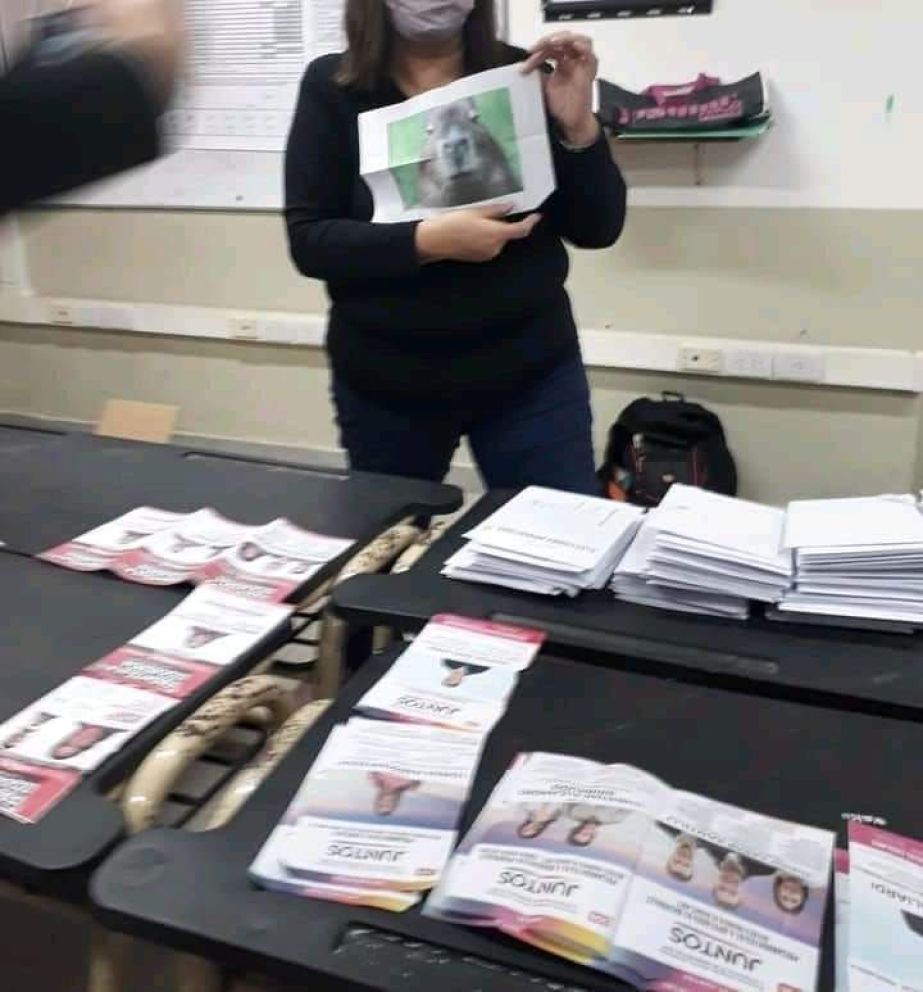 PASO 2021: los mejores votos impugnados que la rompen en redes sociales