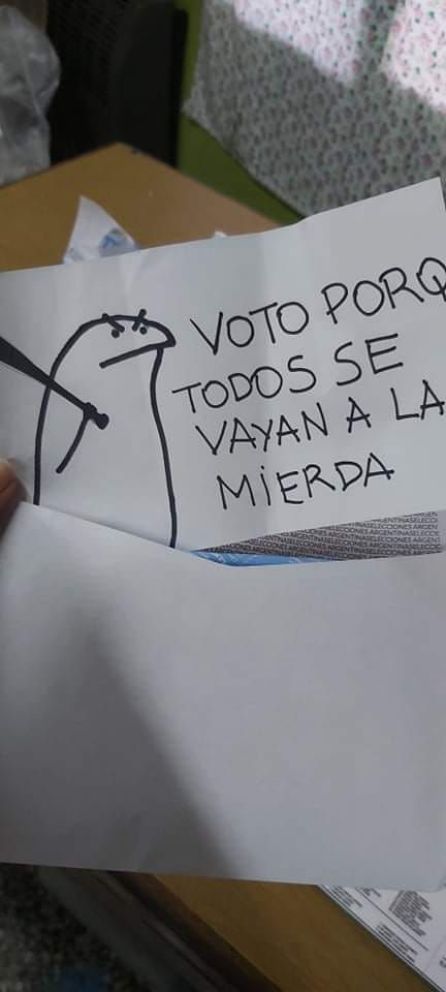 PASO 2021: los mejores votos impugnados que la rompen en redes sociales