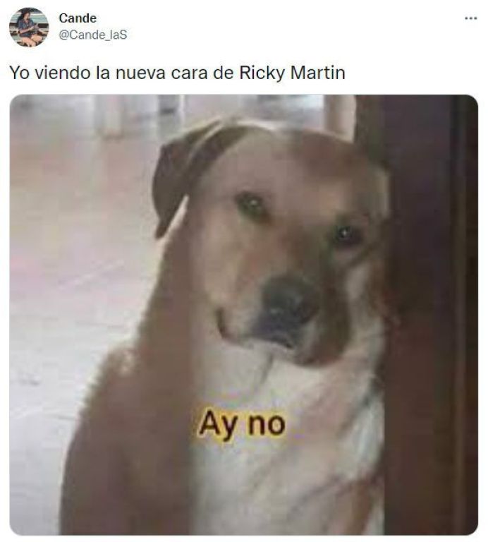 Ricky Martin se convirtió en meme porque se habría retocado la cara