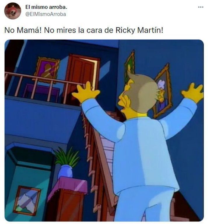 Ricky Martin se convirtió en meme porque se habría retocado la cara